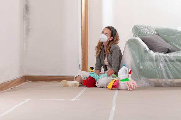 Reliable Mold Testing contractor in Short Hills, NJ by WQB Mold Removal